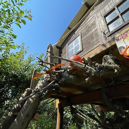 Terra & Mar - Land & Sea Villa Arcozelo  Dış mekan fotoğraf